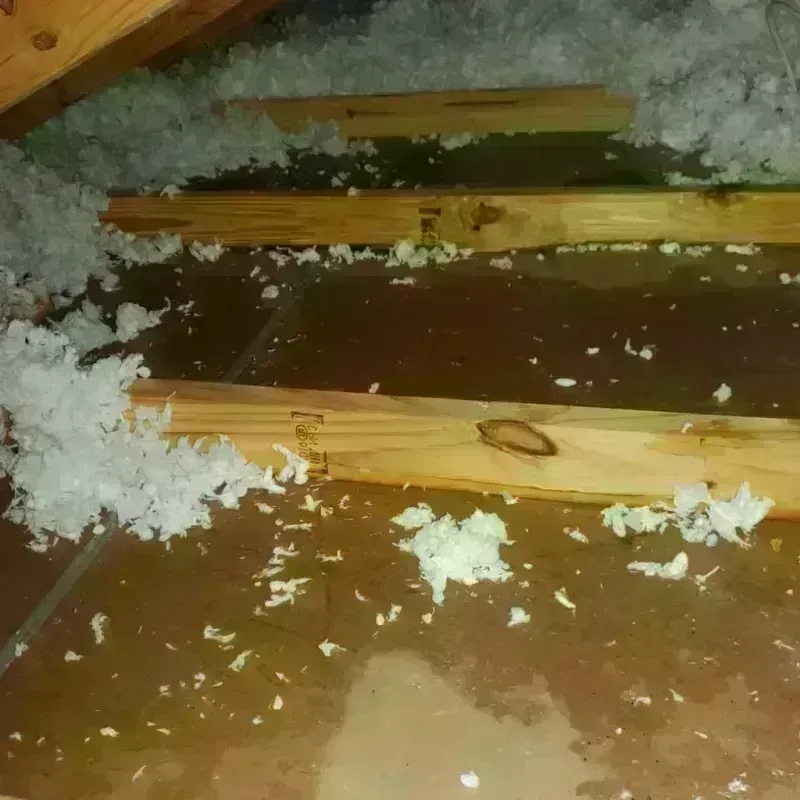 Attic Water Damage in West Liberty, OH