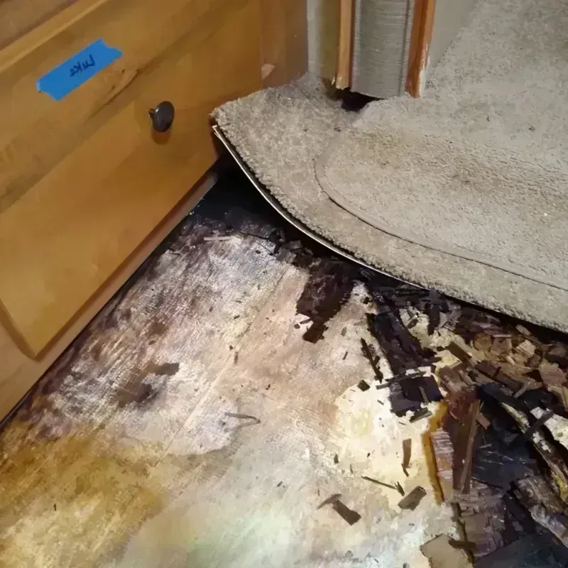 Best Wood Floor Water Damage Service in West Liberty, OH